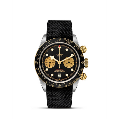 Tudor watch in Alternative Metals M79363N-0003