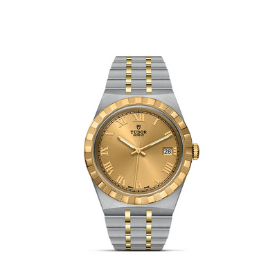 Tudor watch in Mixed Metals M28503-0003