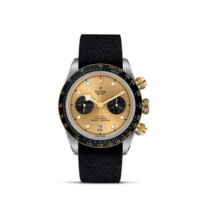 csv_image Tudor watch in Mixed Metals M79363N-0006