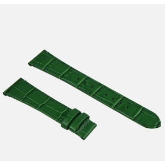 csv_image Accutron watch 2S18011