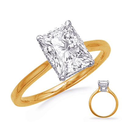 csv_image Engagement Collections Engagement Ring in Yellow Gold containing Diamond 423036