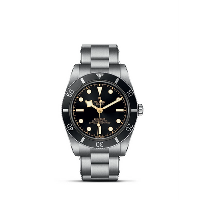 Tudor watch in Alternative Metals M79000N-0001