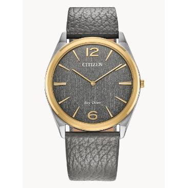 Citizen watch AR3124-07H