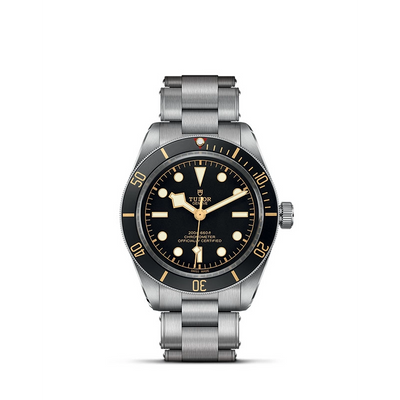 Tudor watch in Alternative Metals M79030N-0001