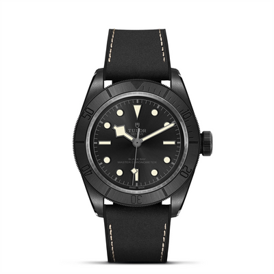 Tudor watch in Alternative Metals M79210CNU-0001